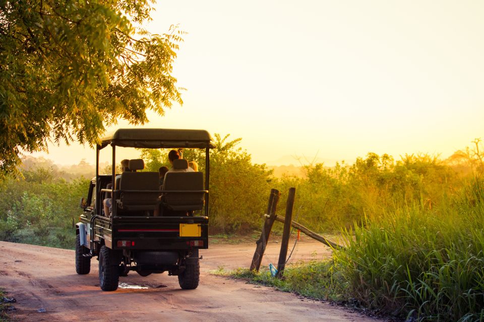 From Negombo: Minneriya National Park Safari Tour - Good To Know