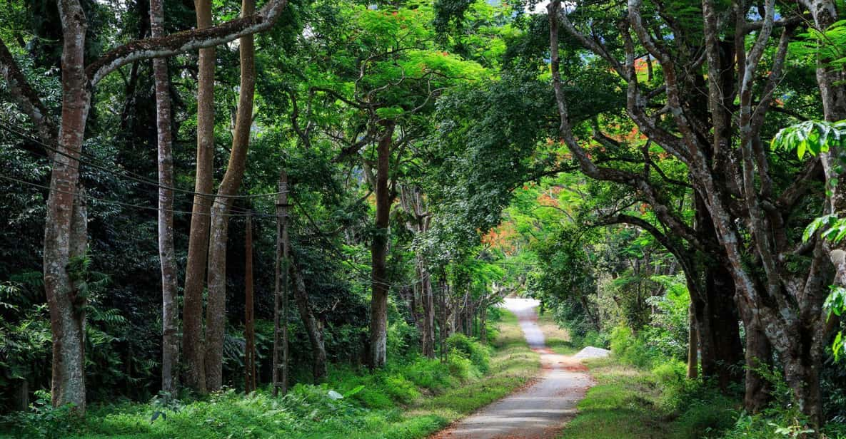 From Ninh Binh: Cuc Phuong National Park 1-Day Small Group - Key Points