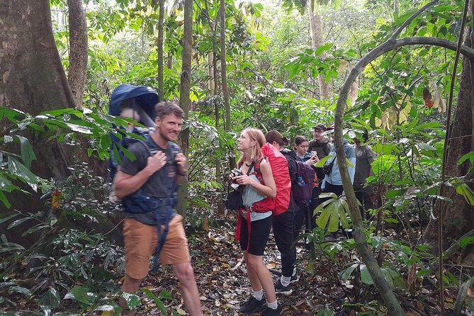 From Ninh Binh Cuc Phuong National Park One Day Trekking Tour - Cuc Phuong National Park Overview