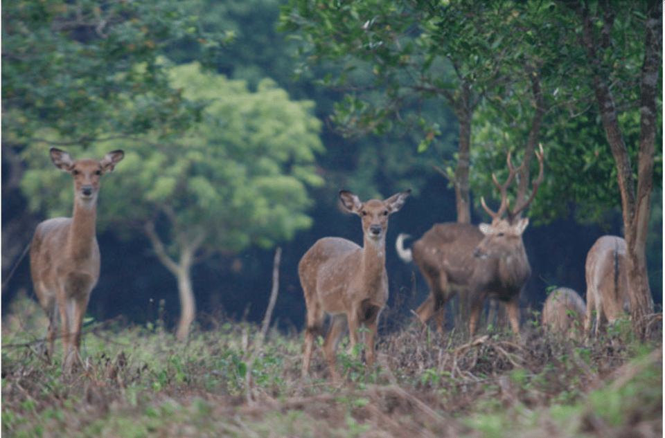 From Ninh Binh: Full Day Discover Cuc Phuong National Park - Booking Information