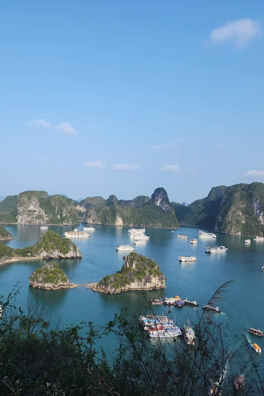 From Ninh Binh : Ruby Ha Long Bay Overnight Cruise 2D 1N - Key Points