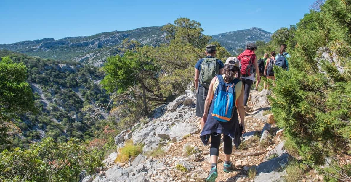 From Orosei/Dorgali: Hike to Cala Luna - Guided Day Trip - Key Points