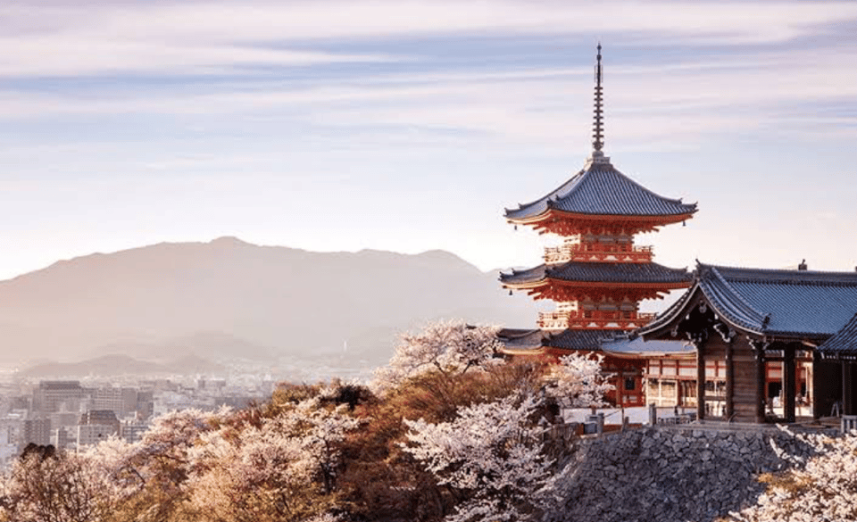 From Osaka: Kyoto Full Day Customized Private Tour - Key Points