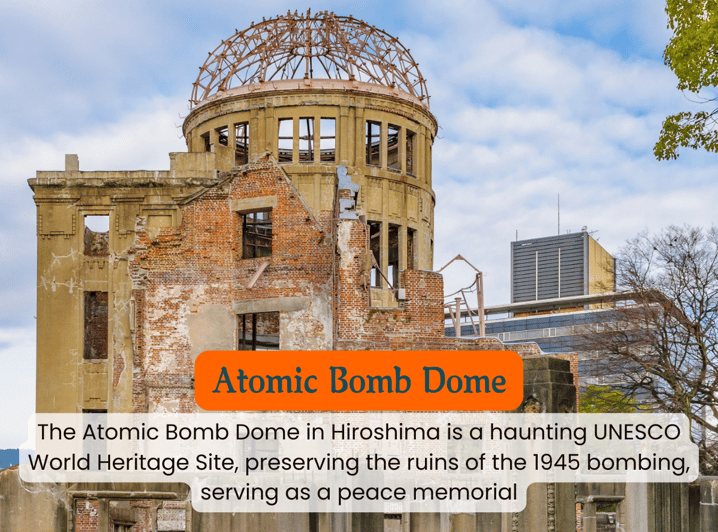 From Osaka/Kyoto: Hiroshima and Miyajima Private Tour - Key Points