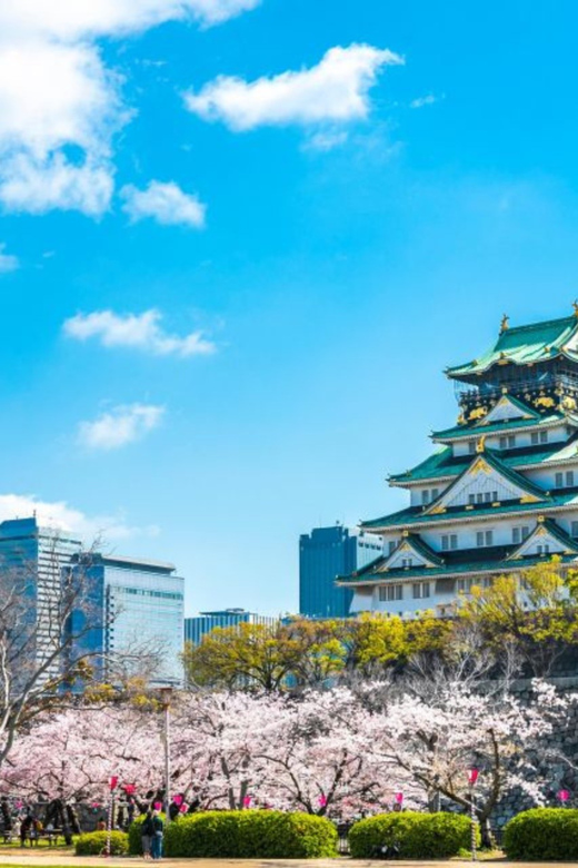 From Osaka: Private Customisable Osaka Full Day Tour By Car - Customizable Tour Features