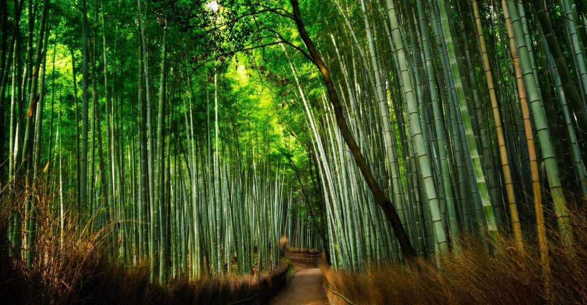 From Osaka to Kyoto: Arashiyama Bamboo Forest Tour - Tour Overview