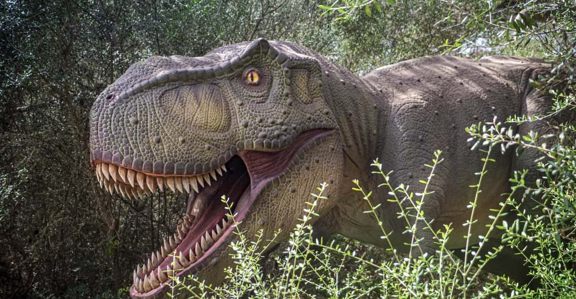 From Palma De Mallorca: Dinosaurland Tour - Key Points