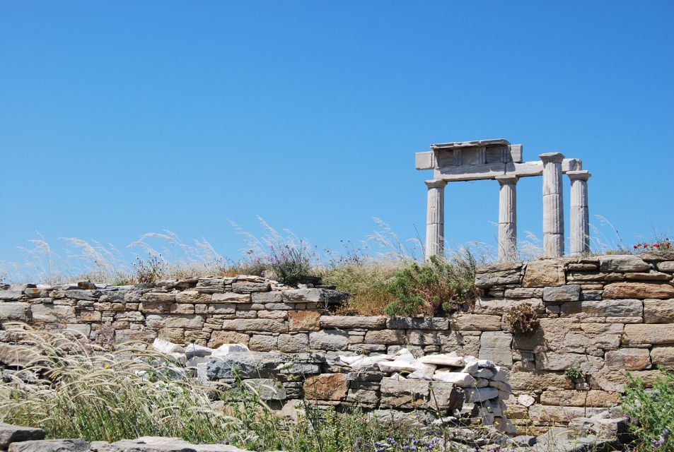 From Paros: Delos and Mykonos Full-Day Boat Trip - Key Points