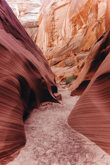 From Phoenix: Antelope Canyon and Horseshoe Bend Day Tour - Key Points