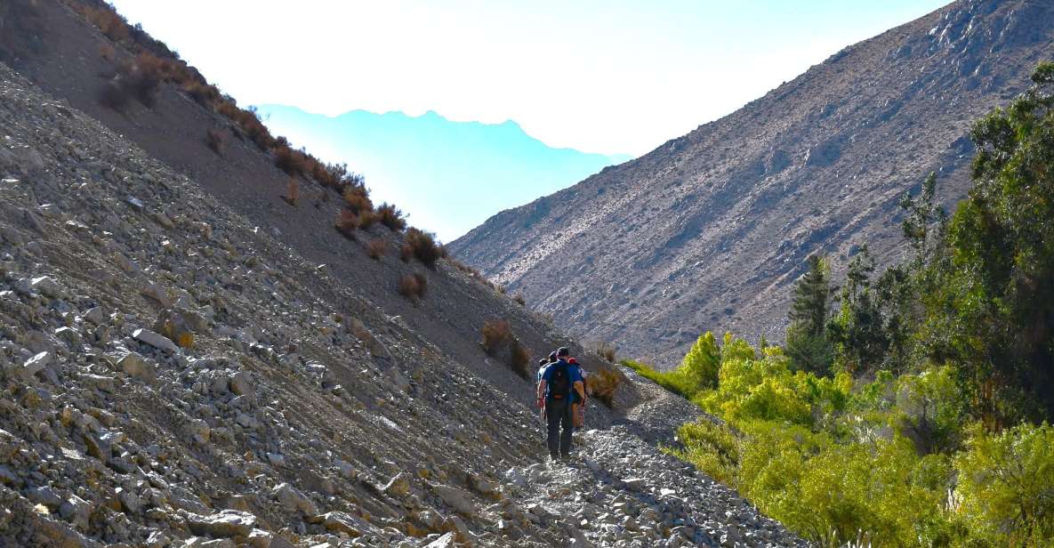 From Pisco Elqui: Cochiguaz River Valley Nature Hike - Key Points