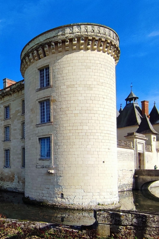 From Poitiers: Private Visit of the Castle of Dissay - Key Points