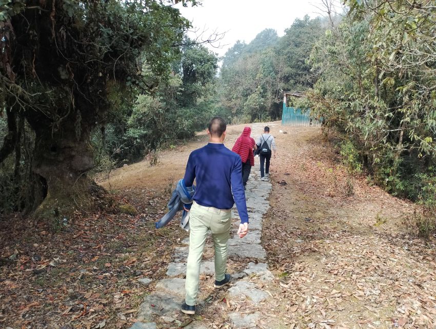 From Pokhara: 2 Night 3 Day Panchase Hill Trek (Private) - Key Points