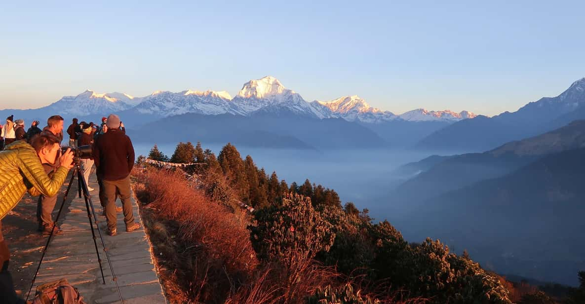 From Pokhara: 2 Night 3 Days Poon Hill Trek - Key Points