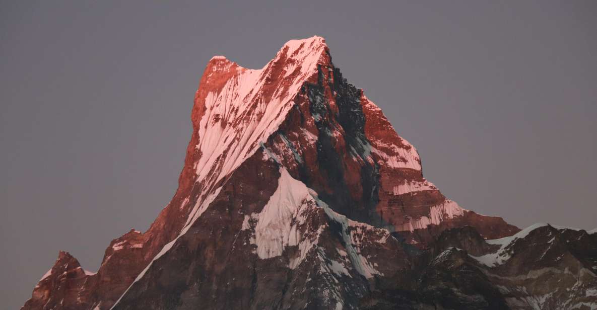 From Pokhara: 4 Day Amazing Mardi Himal Base Camp Peak Trek - Key Points