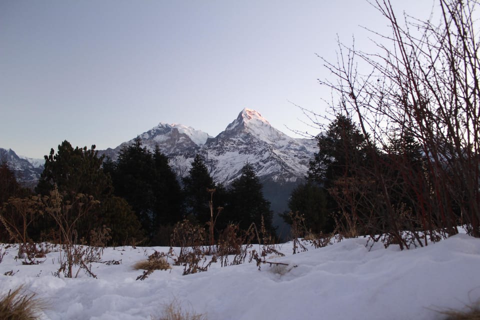 From Pokhara: 5 Day 5 Amazing Hills Trek With Local Guide - Key Points