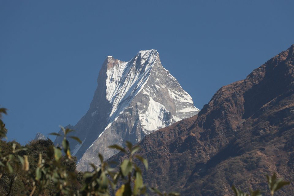 From Pokhara: 5-Day Annapurna Base Camp Trek - Key Points