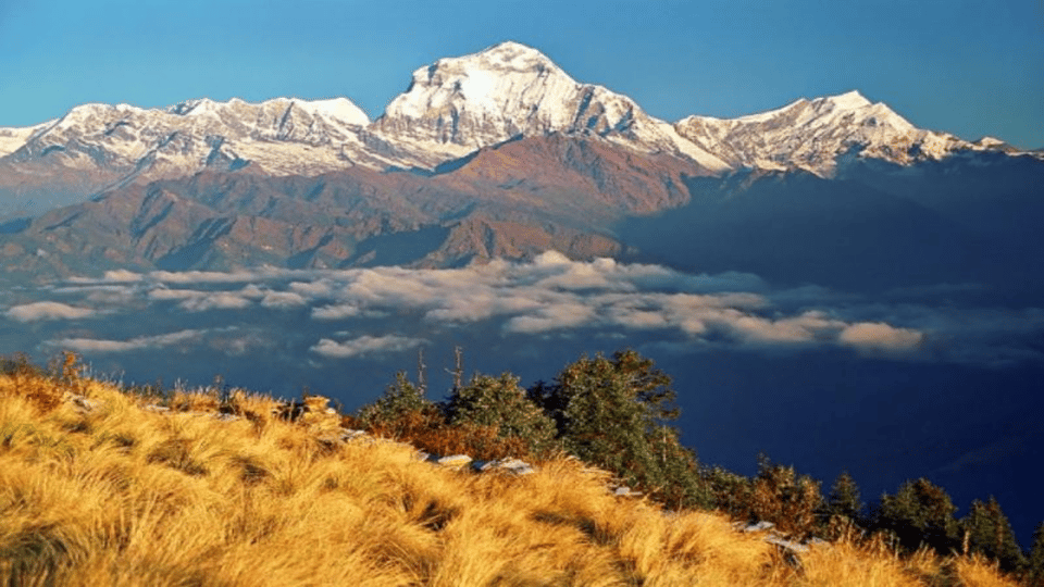 From Pokhara : Budget 3 Days Ghorepani & Poon Hill Trek - Best Trekking Seasons