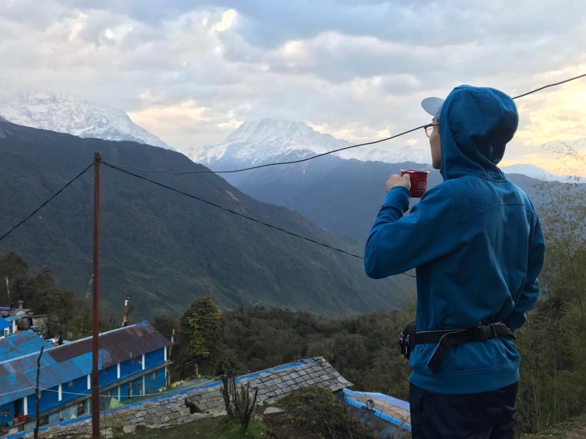 From Pokhara - Ghorepani Poon Hill Ghandruk Trek - 4 Days - Key Points