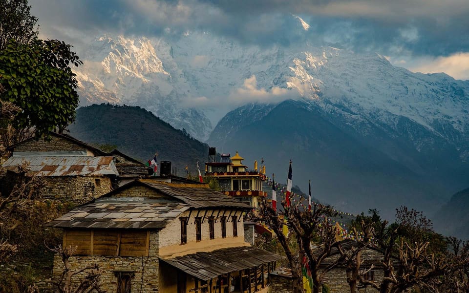 From Pokhara: Ghorepani Poon Hill Trek With Transfers - Key Points