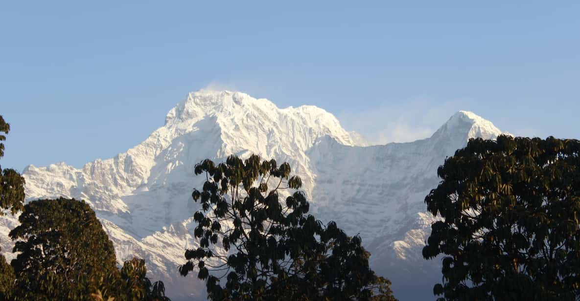 From Pokhara Group Departure: One Day Trek Australian Camp - Key Points