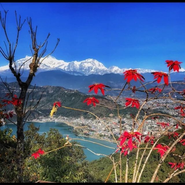 From Pokhara: Guided Tour to Visit 4 Himalayas View Point - Key Points