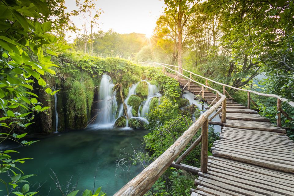 From Porec and Rovinj: Full-Day Plitvice Lakes Guided Trip - Tour Overview