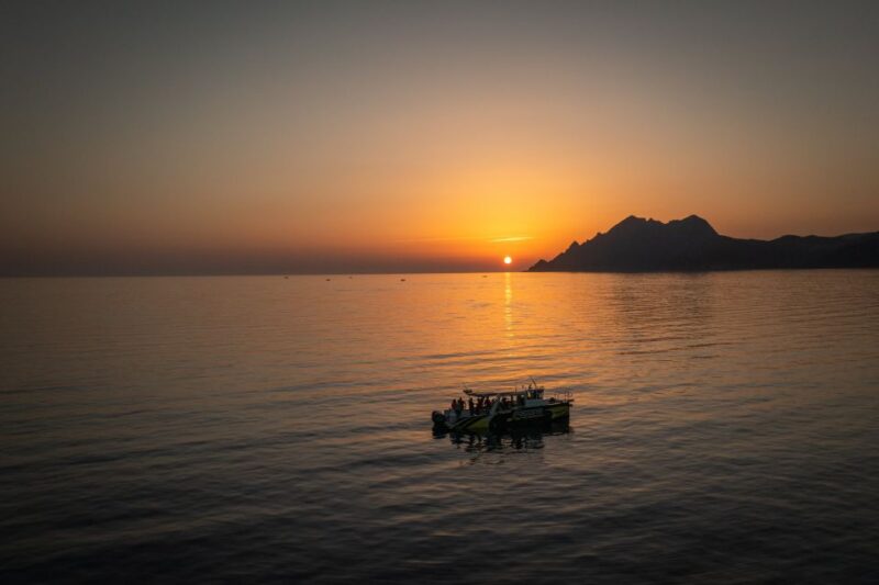 From Porto: Piana Creeks, Scandola on Family Boat - Key Points
