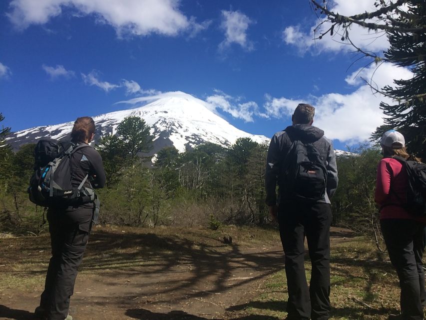 From Pucón: Llaima Volcano Guided Ascent - Key Points