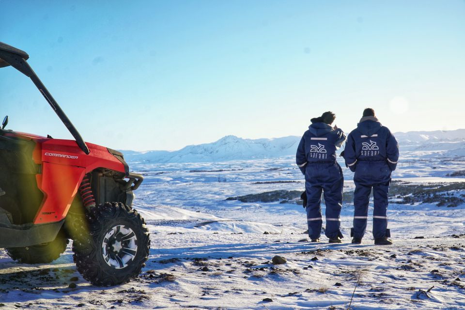 From Reykjavik: Buggy & Whale Watching Adventure - Key Points