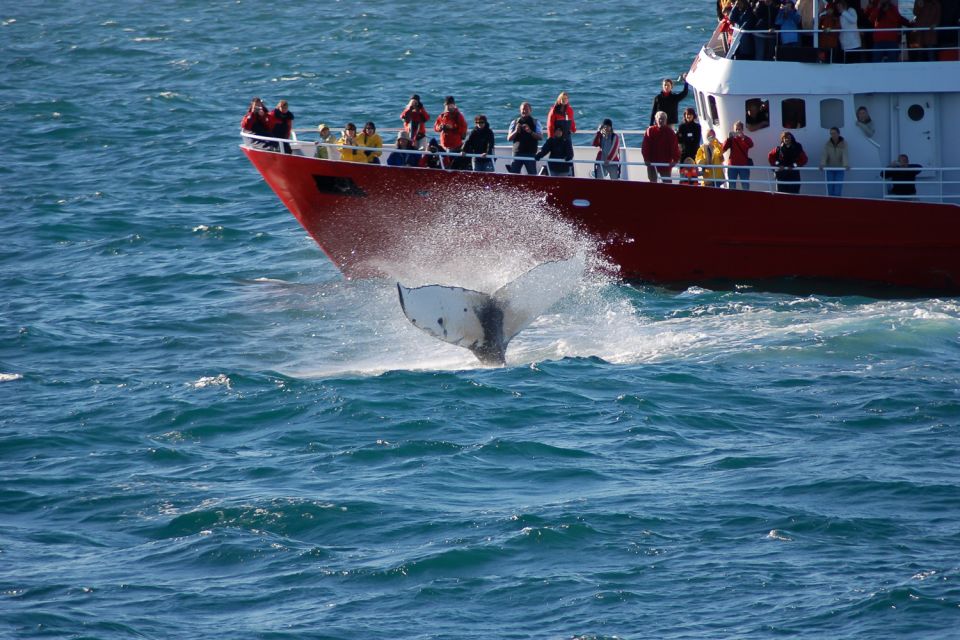 From Reykjavik: Golden Circle and Whale Watching Tour - Key Points