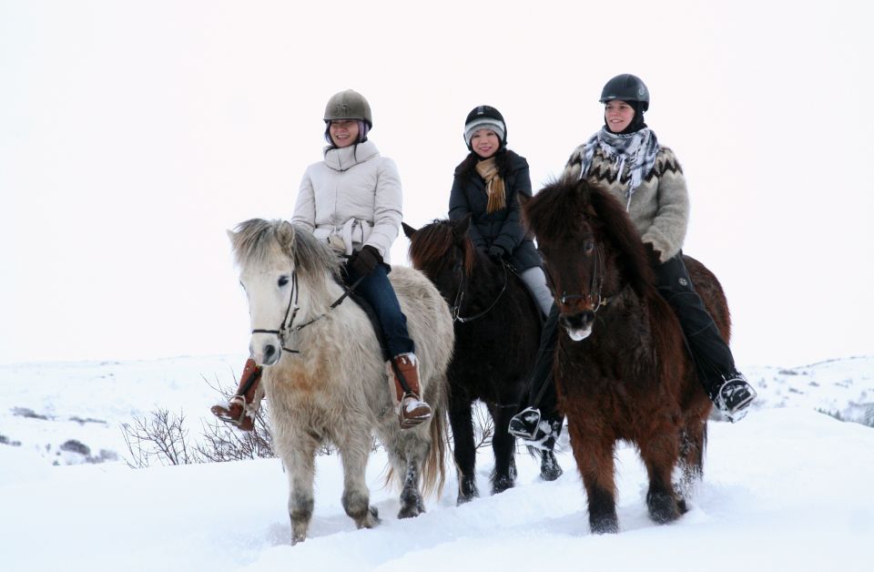 From Reykjavík: Icelandic Horse Riding Tour in Lava Fields - Key Points