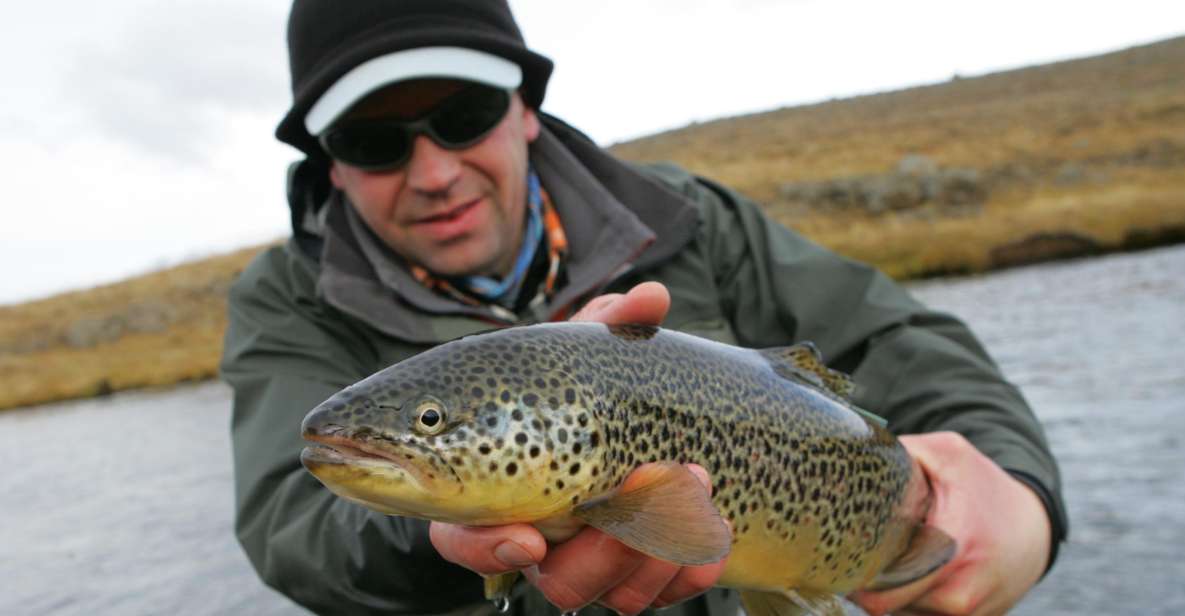 From Reykjavik: Lake and River Fishing Tour - Key Points