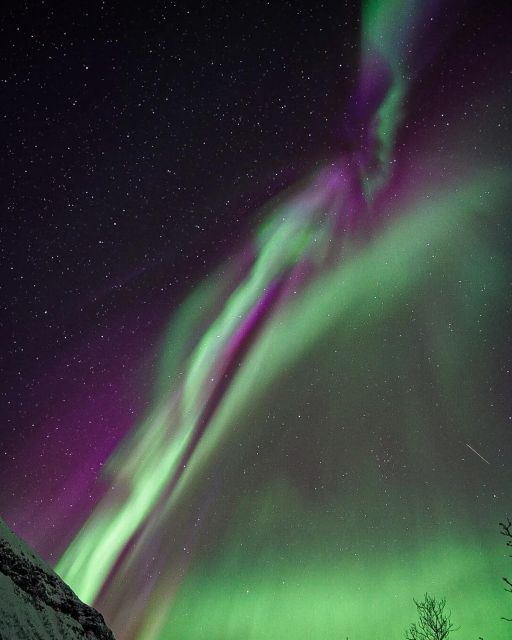 From Rovaniemi: Aurora Dreamscape Tour in the Wild - Key Points