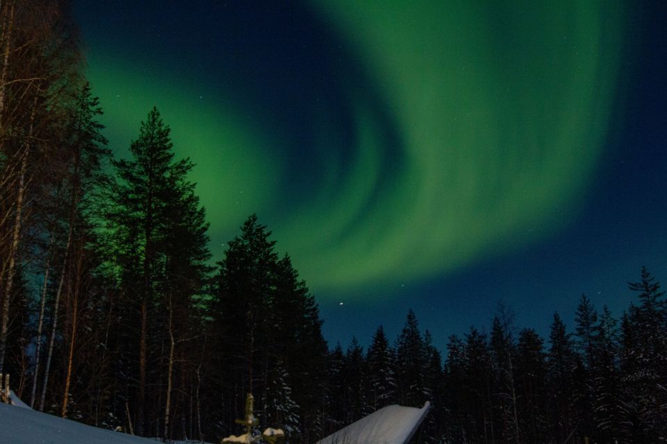 From Rovaniemi: Northern Lights Experience With Campfire - Key Points