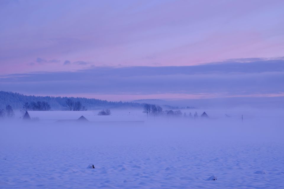 From Rovaniemi: Winter Wonderland Hike With a Hot Drink - Key Points