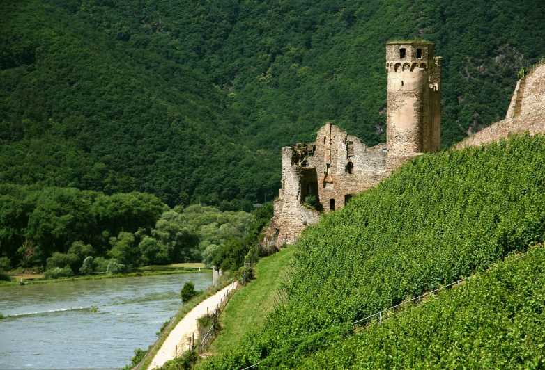 From Rüdesheim: 1.5-Hour Boat Cruise With Wine Tasting - Key Points