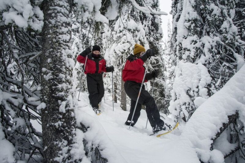 From Ruka: Snowshoeing in Oulanka National Park - Key Points