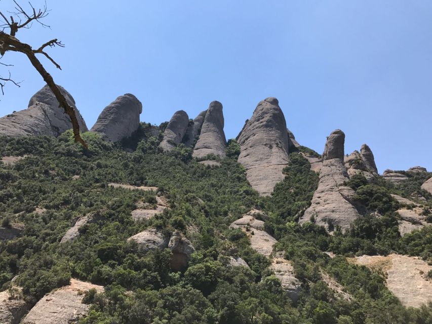 From Salou: Montserrat Monastery and Colonia Güell - Key Points