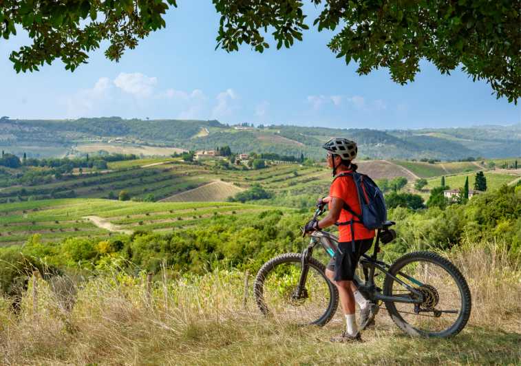 From San Gimignano to Volterra E-Bike Tour+Transfer Service - Key Points