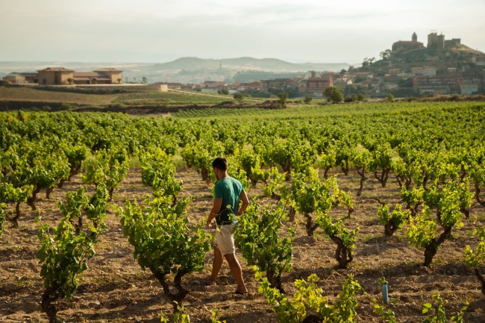 From San Sebastián: La Rioja Wine Region Day Tour - Key Points