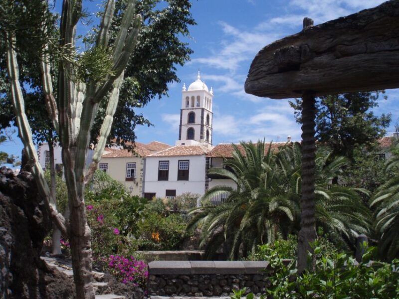 From Santa Cruz De Tenerife: Masca & Garachico Private Trip - Key Points