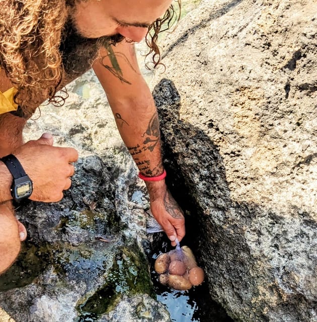 From Santangelo: Ischia Kayak Tour With Italian Aperitif - Key Points