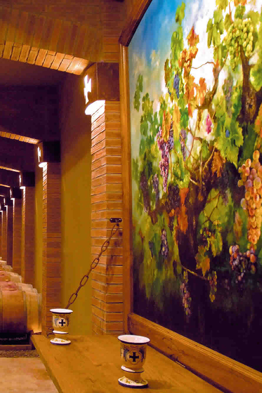 From Santiago: Private Wine Tour in the Colchagua Valley - Key Points