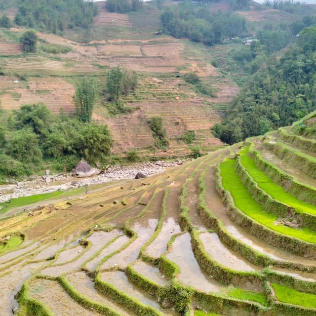 From Sapa 2-Day Sapa Trekking Trip With Homestay & Meals - Key Points