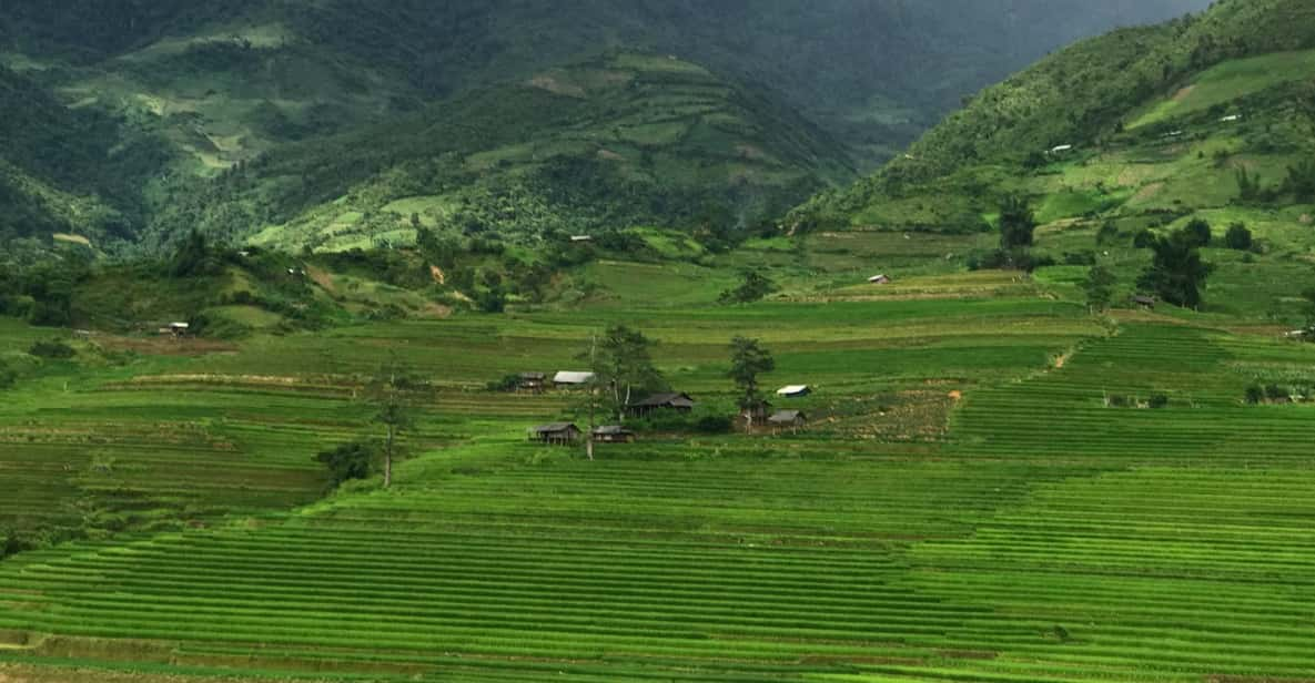 From Sapa to Mu Cang Chai - Rice Terraces Treks & Easy Rider - Pricing and Inclusions