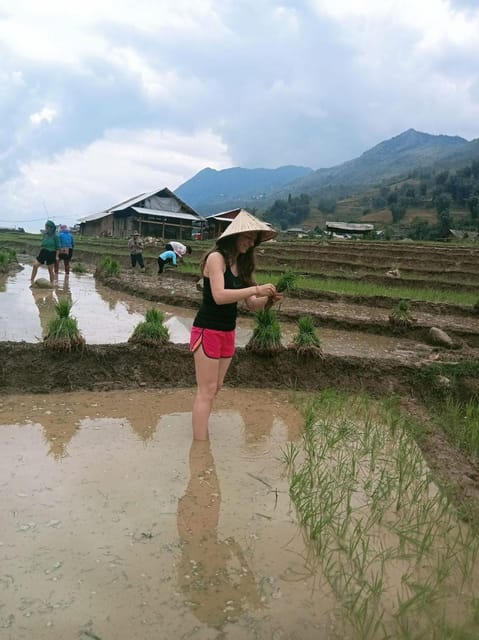 From Sapa: Trek 2 Day - Rice Terrace - Homestay in Ta Van - Key Points