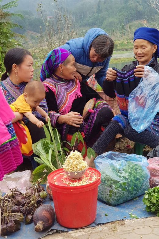 From Sapa: Visit Bac Ha Market - 1D Trip - Lunch & Bus - Key Points