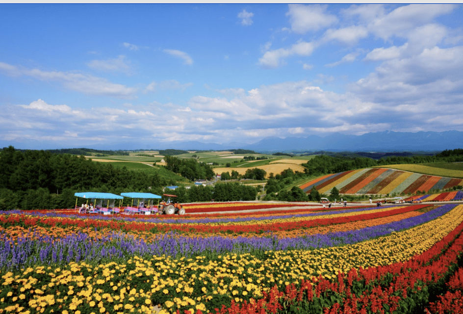 From Sapporo : Hokkaido Furano Tomita Farm Joiner Tour - Tour Overview