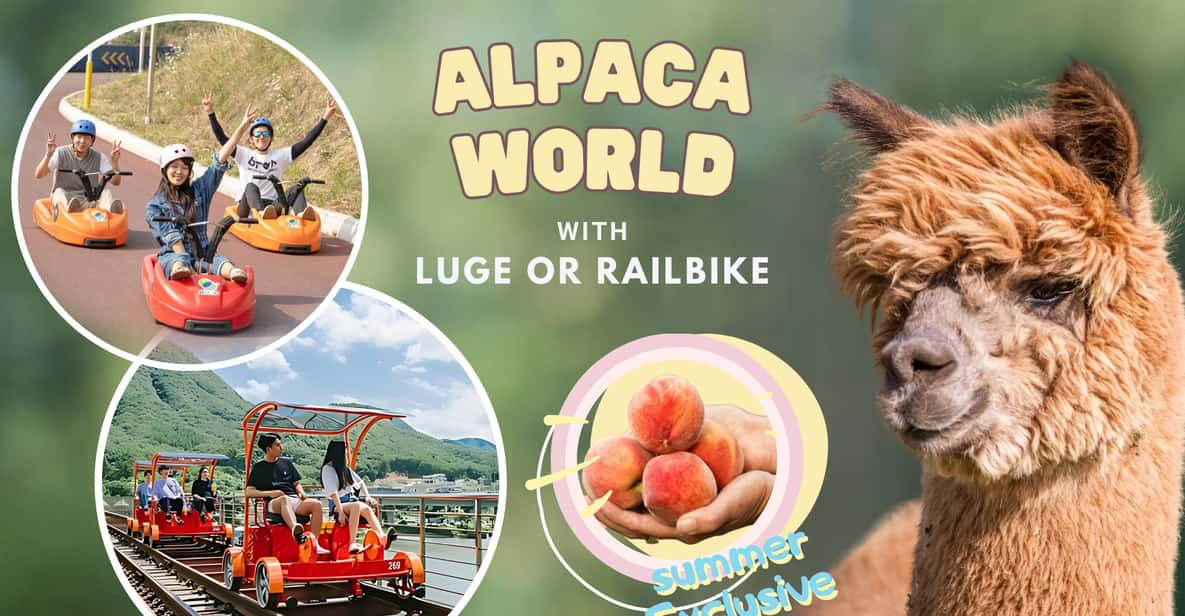 From Seoul: Alpaca Farm With Rail Bike/ Luge Racing - Included Transportation and Meeting Points