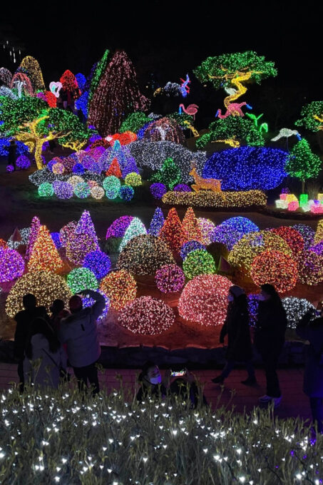 From Seoul: Hwacheon Ice Fishing and Lighting Festival Tour - Meeting Point and Drop-off